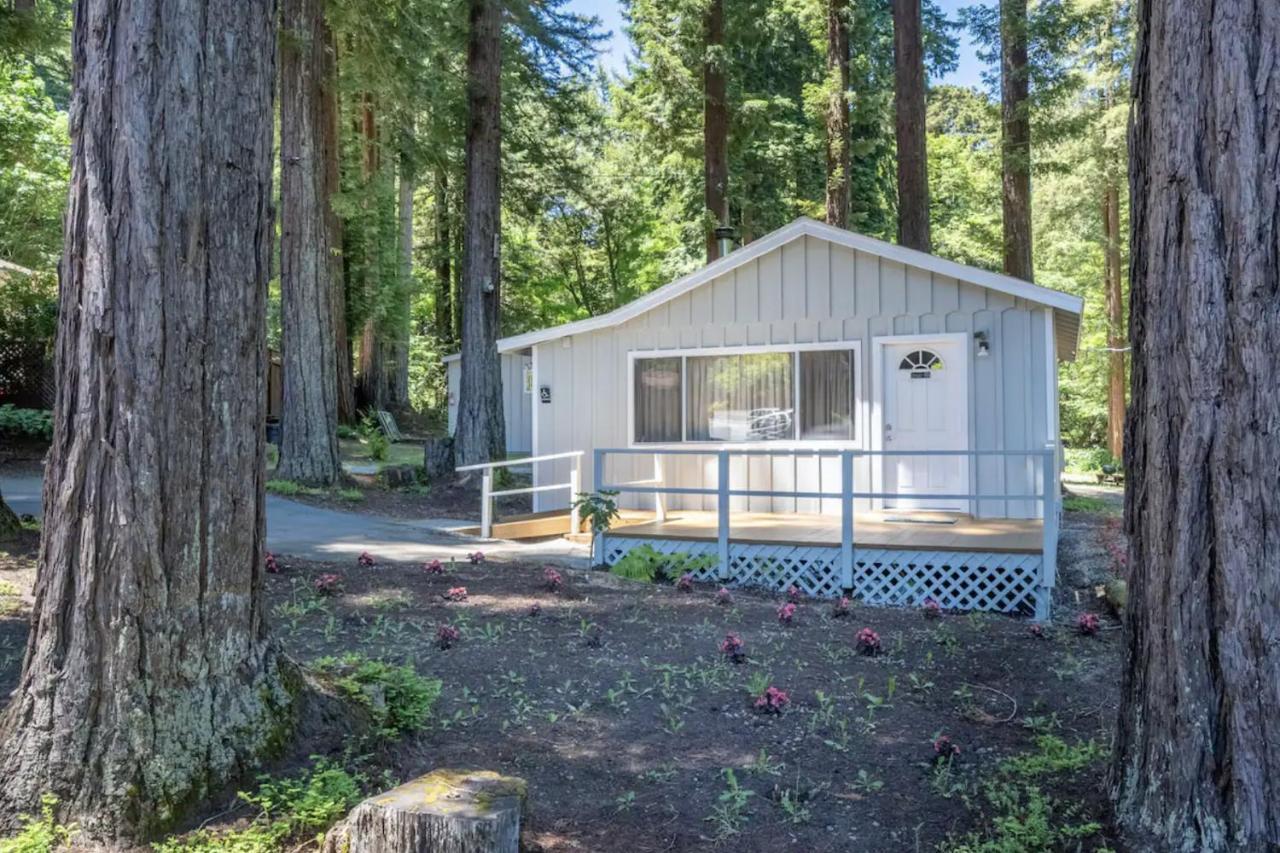 Masoods Lodge Boulder Creek Esterno foto